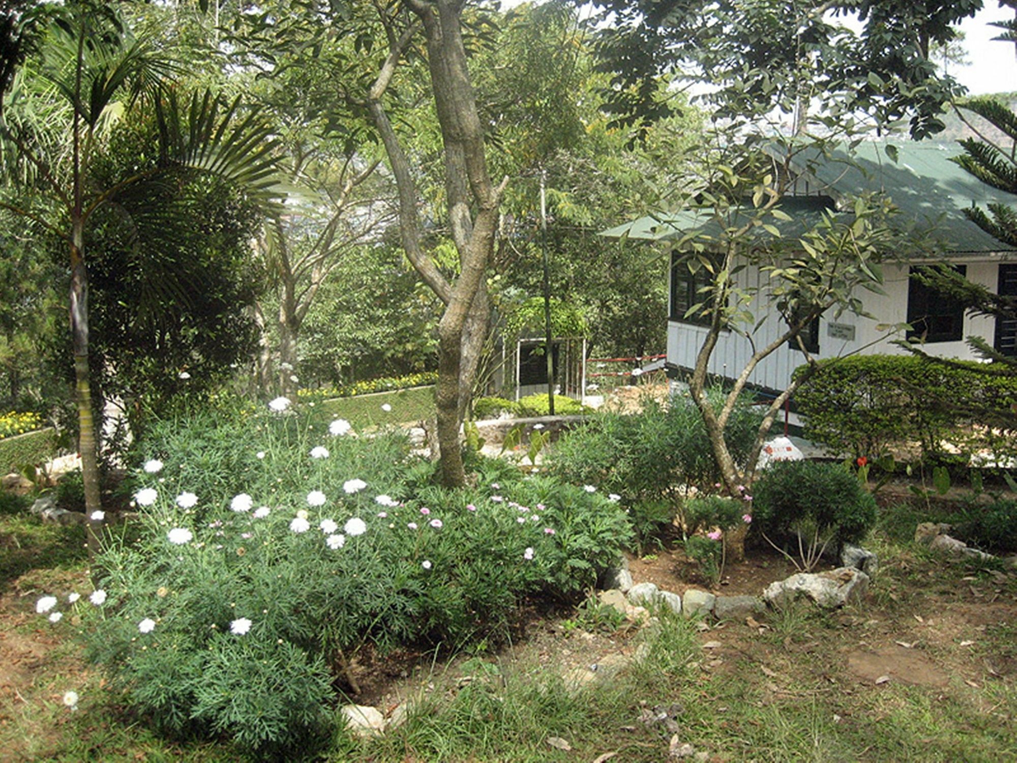 Pine Breeze Cottages Baguio City Εξωτερικό φωτογραφία